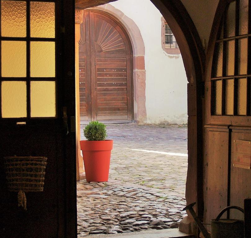Les Appartements De Louise Riquewihr Exterior foto